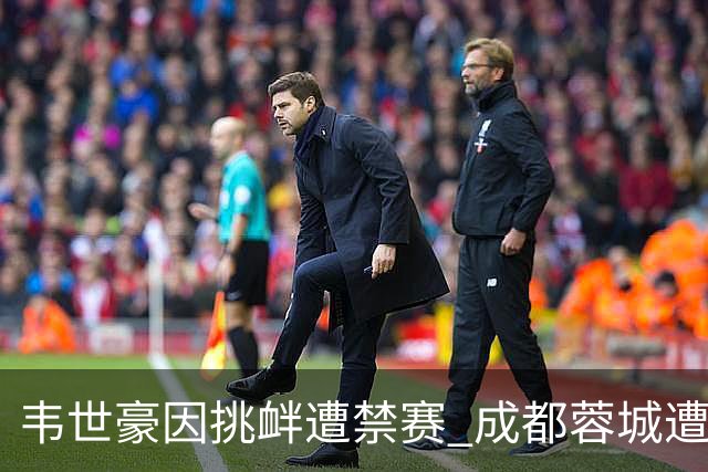 韦世豪因挑衅遭禁赛 成都蓉城遭遇连败且未能进球